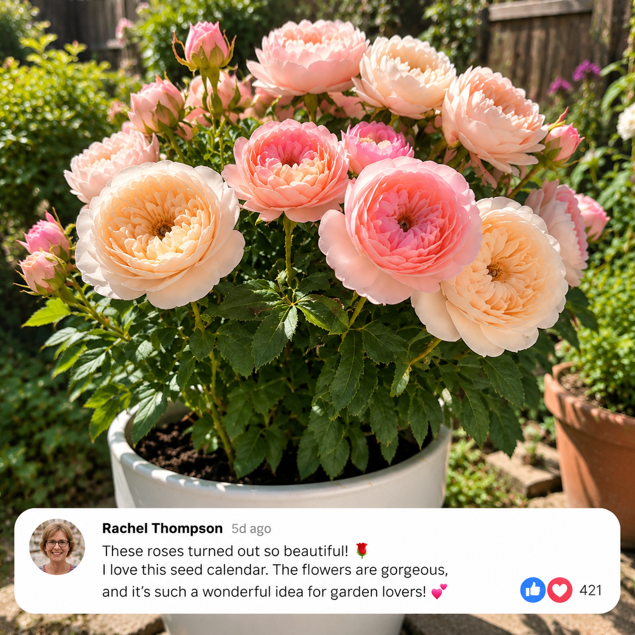Rachel Thompson — fotografia zákazníka so semienkovým kalendárom